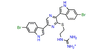 Dragmacidin G